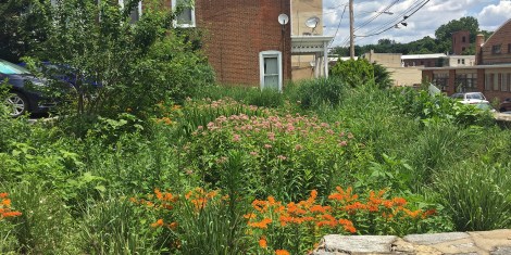 LDCP_HGGarden_PkgLot2_dblsq